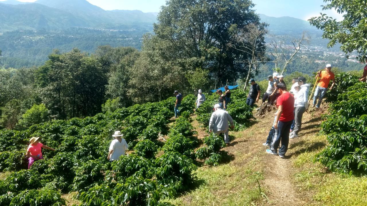 Cabanas Buenavista Huauchinango Bagian luar foto