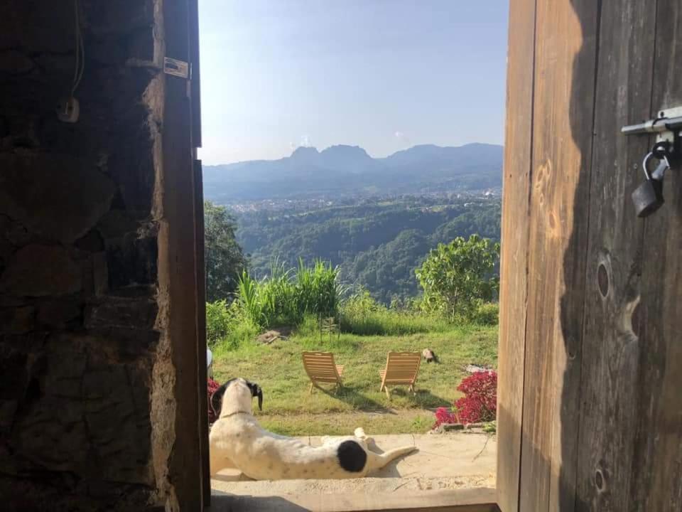 Cabanas Buenavista Huauchinango Bagian luar foto